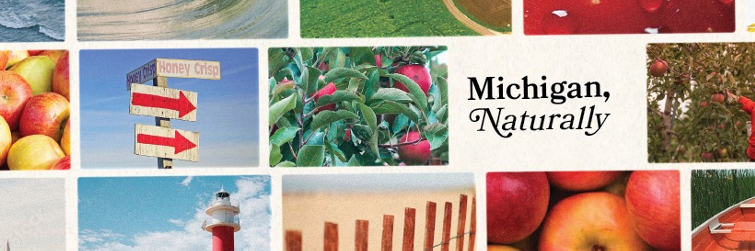 Michigan Apples