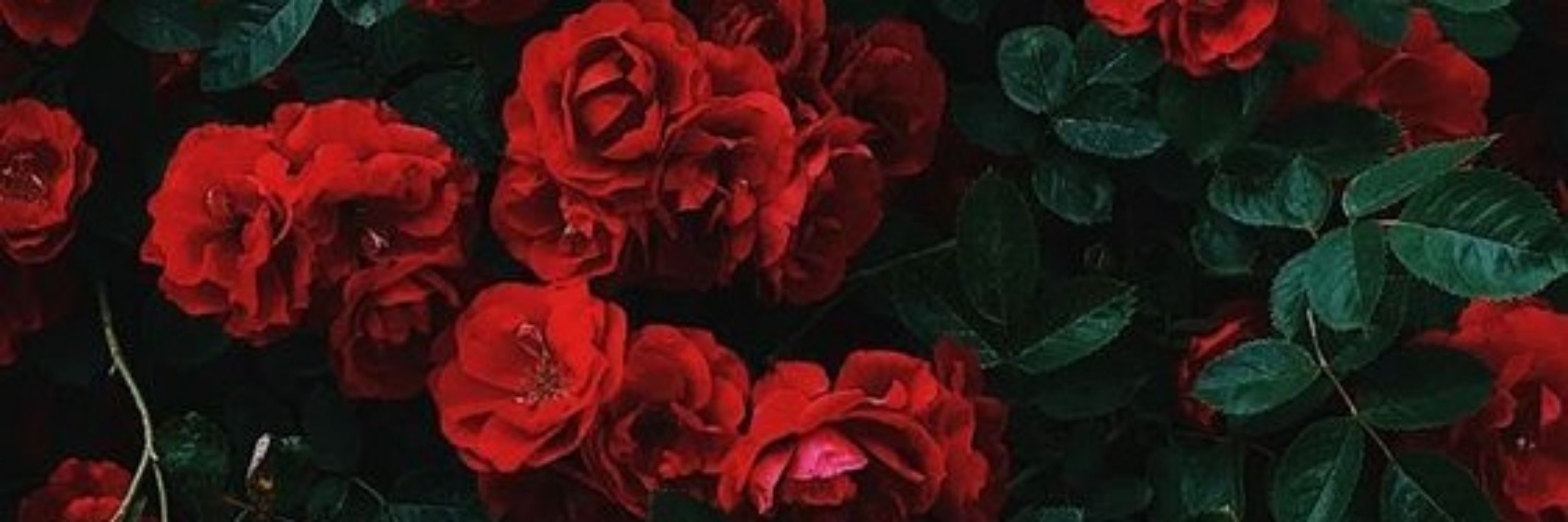 Em 🥀