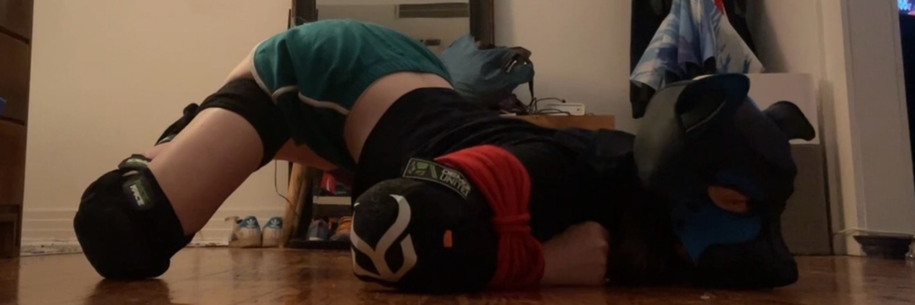 trash mutt