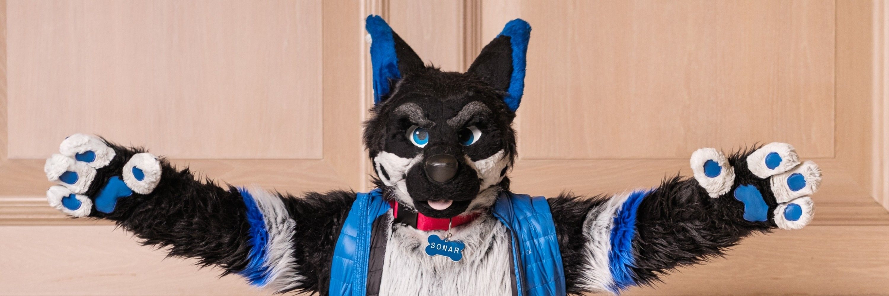 Sonar Shepyote