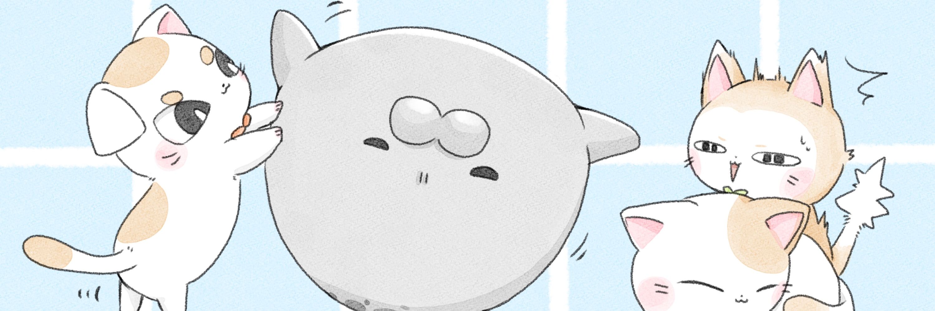 ROIRU