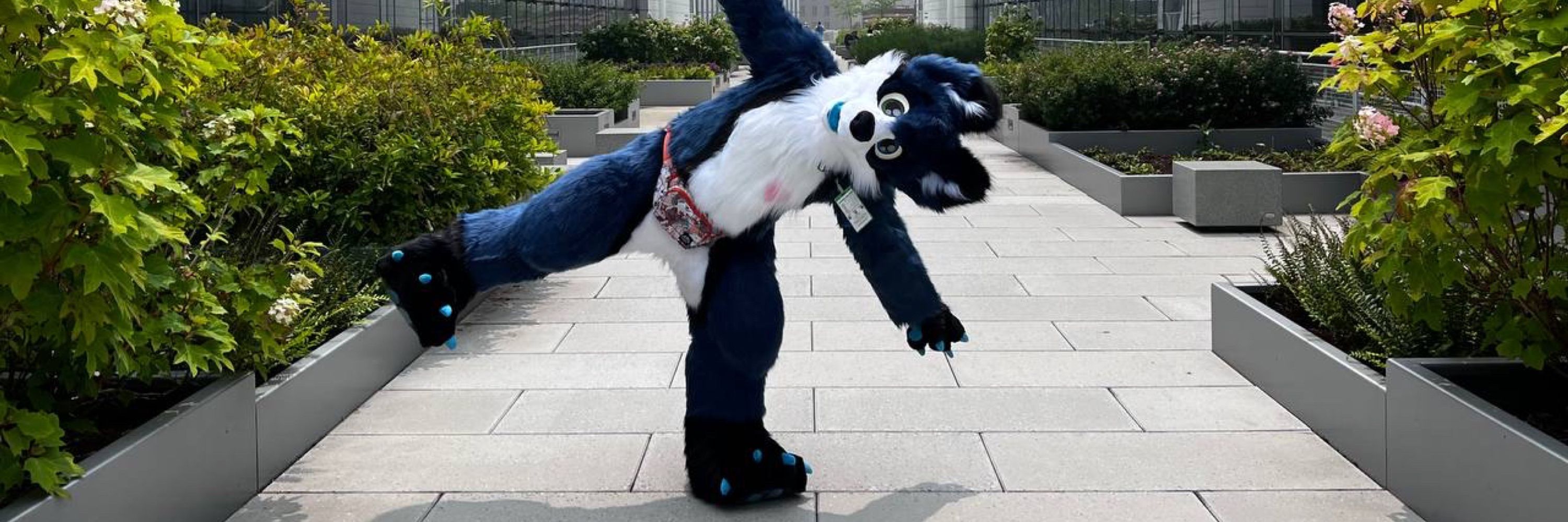 Jade Folf