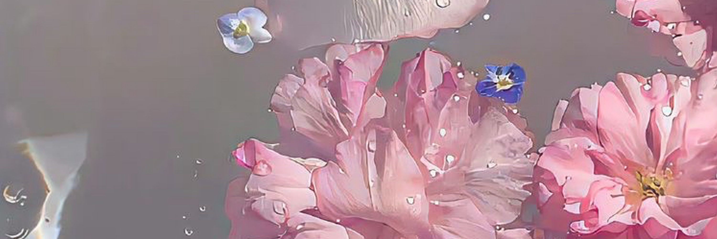 𝐦𝐞𝐥𝐥𝐨𝐮
