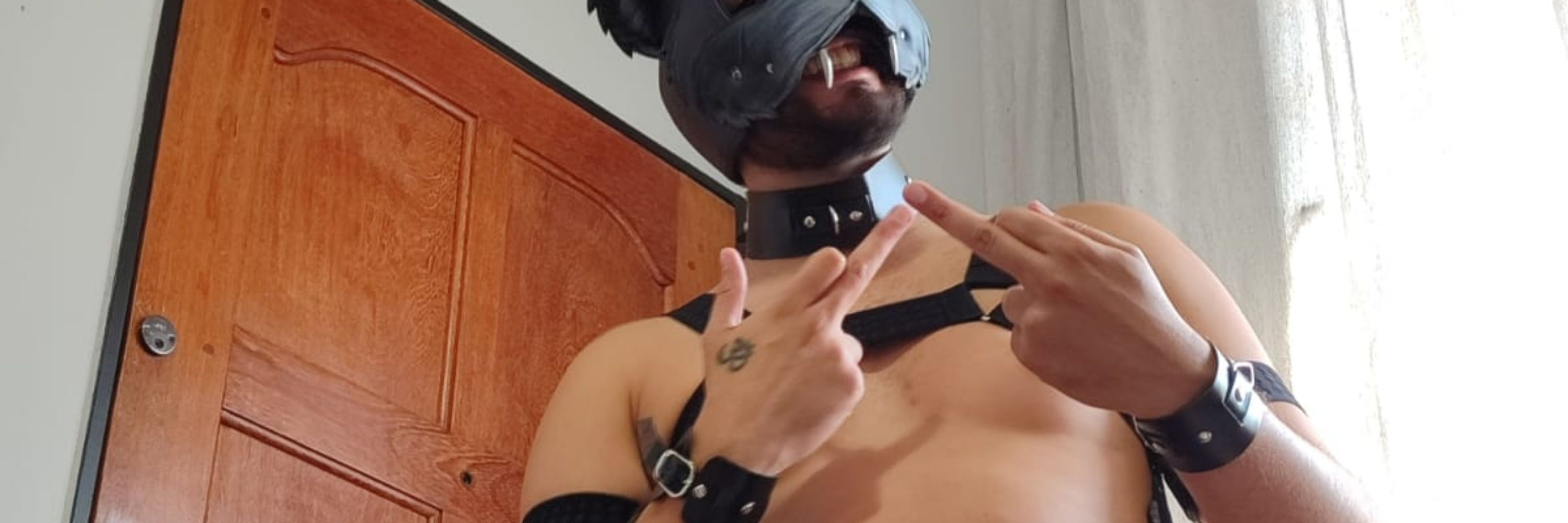 Vulk
