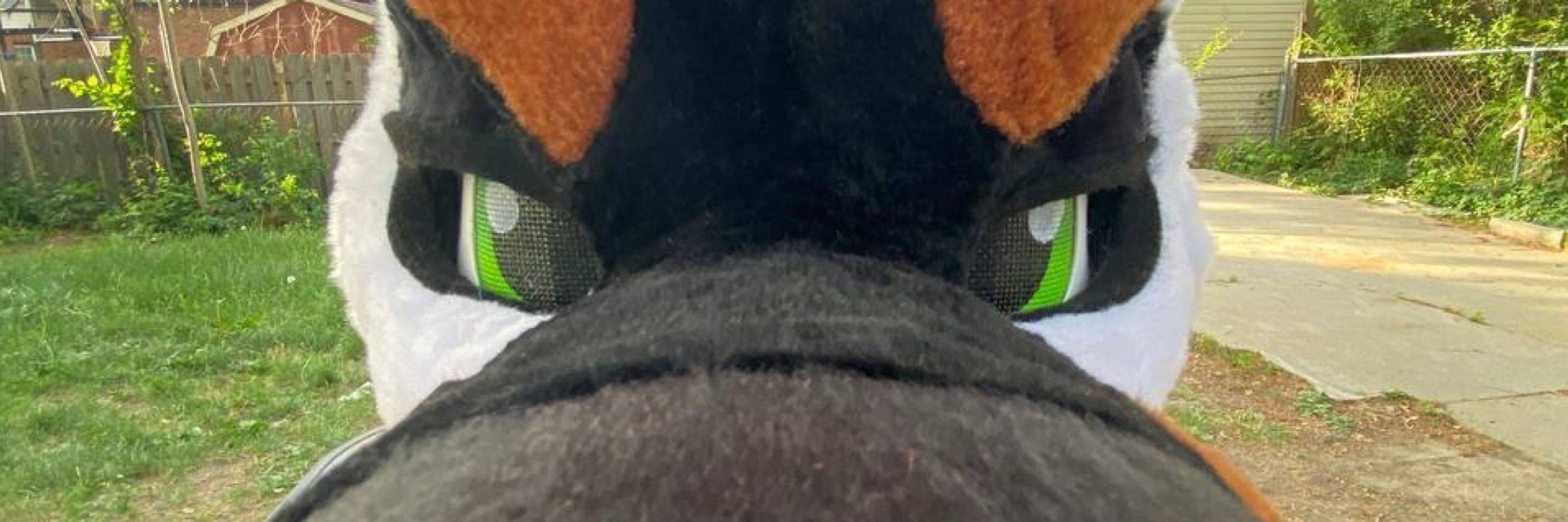 Floofifox