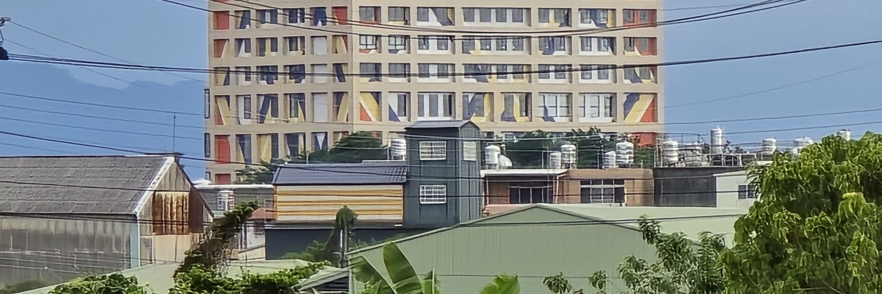 巴特熊
