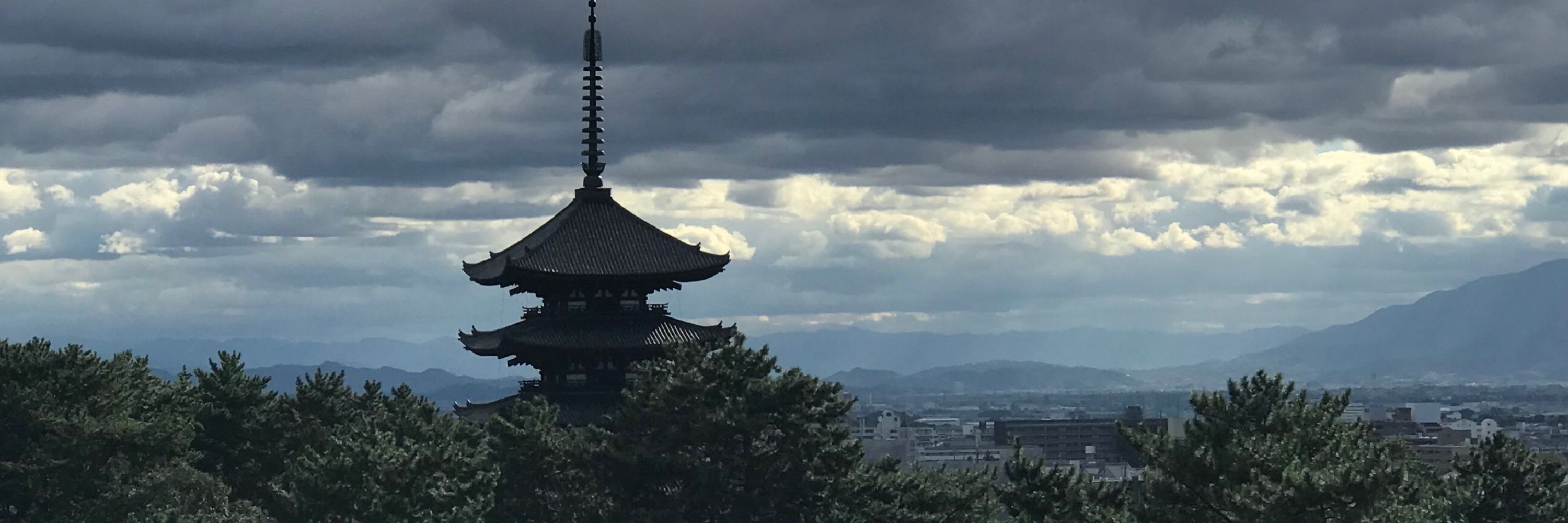 むるさいたる