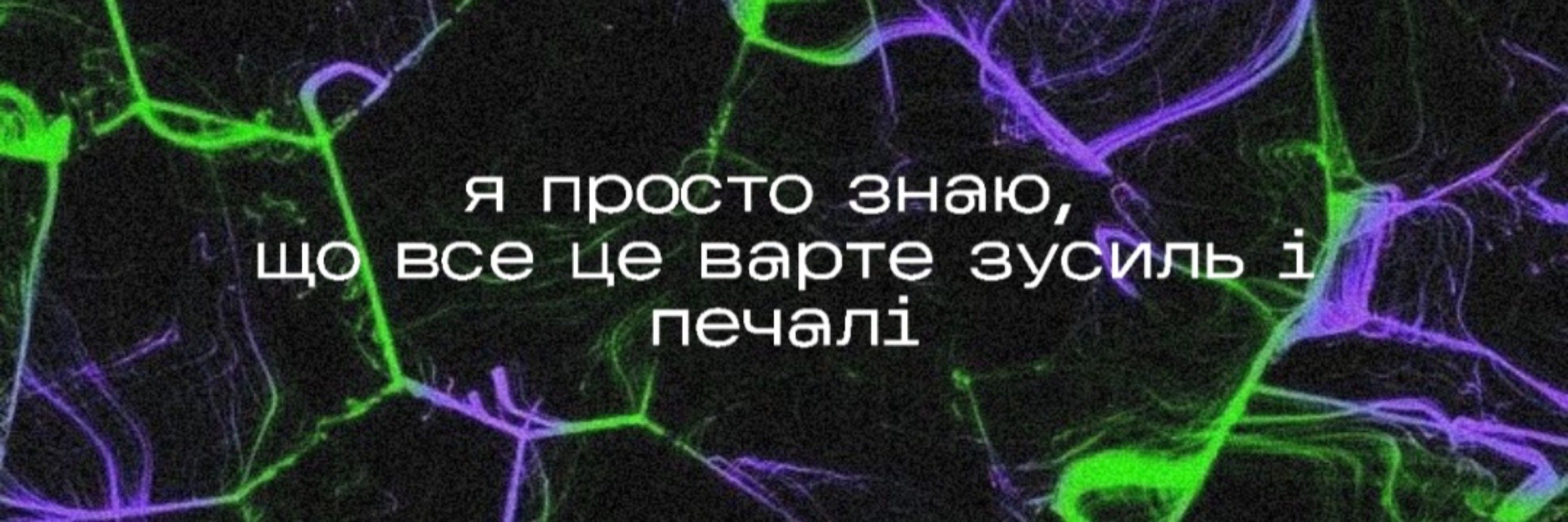 жуй сраку 