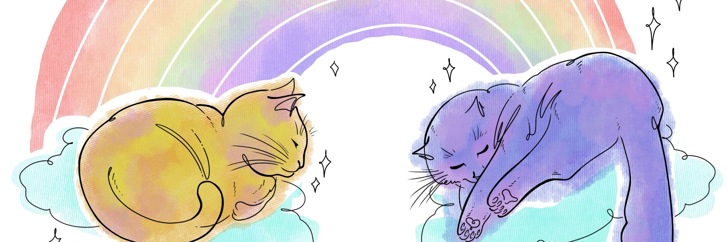Shea💫Astro Cat
