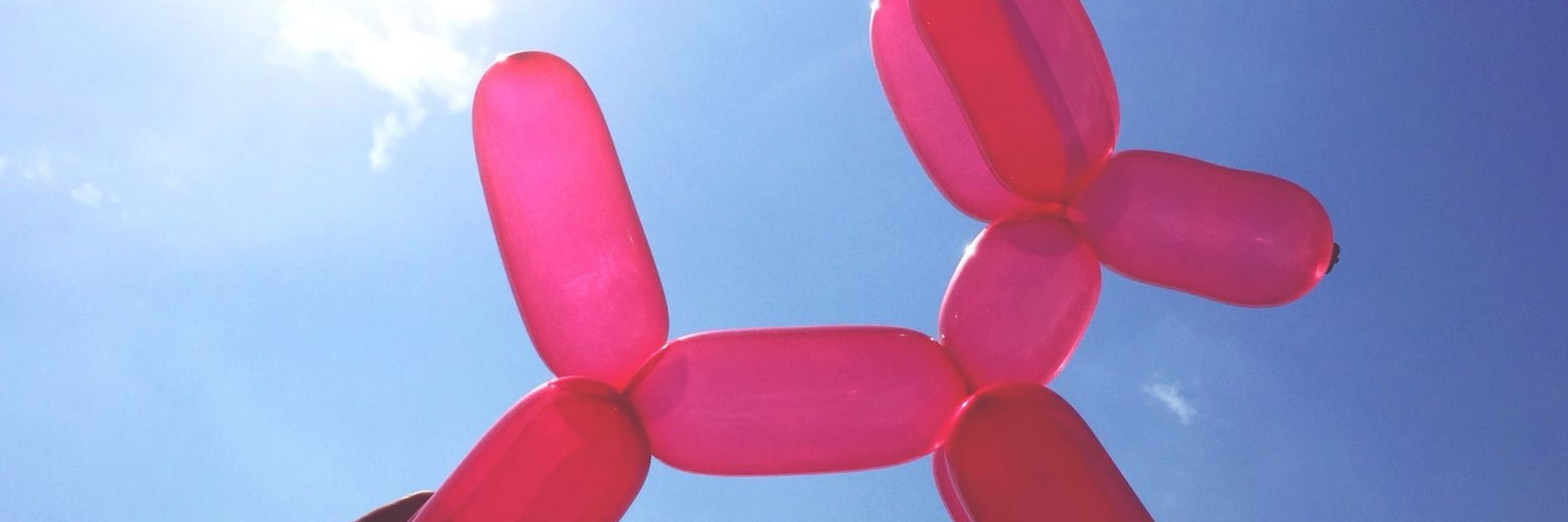Secretary of Balloon Doggies