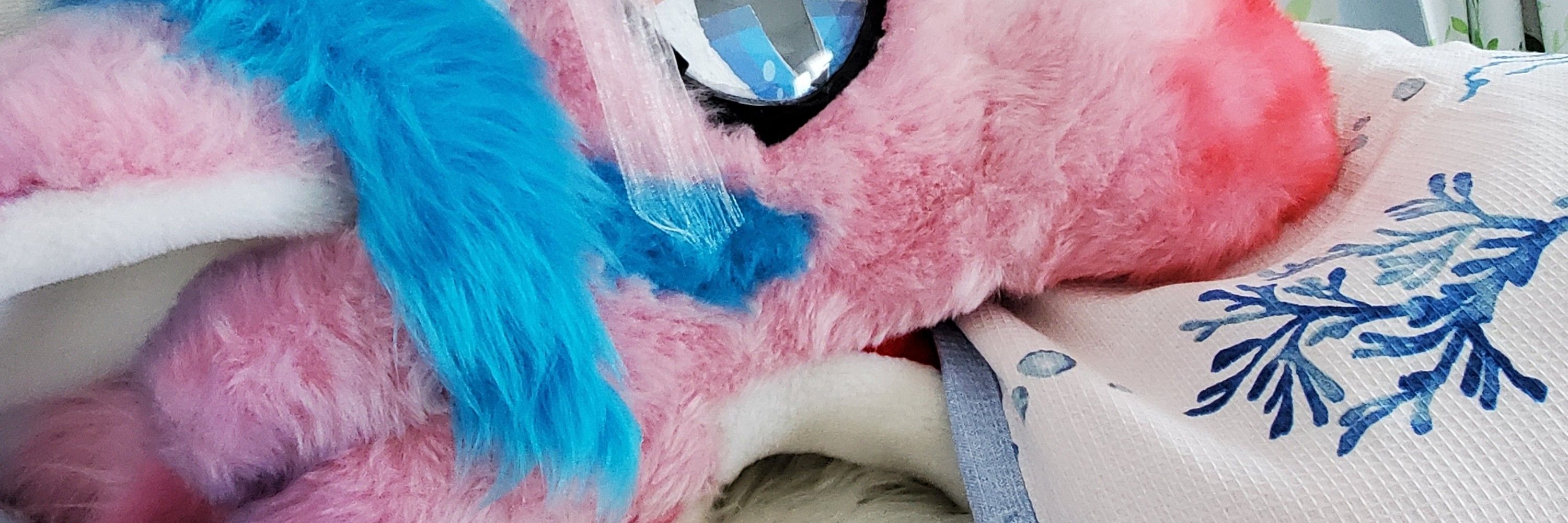 Nim