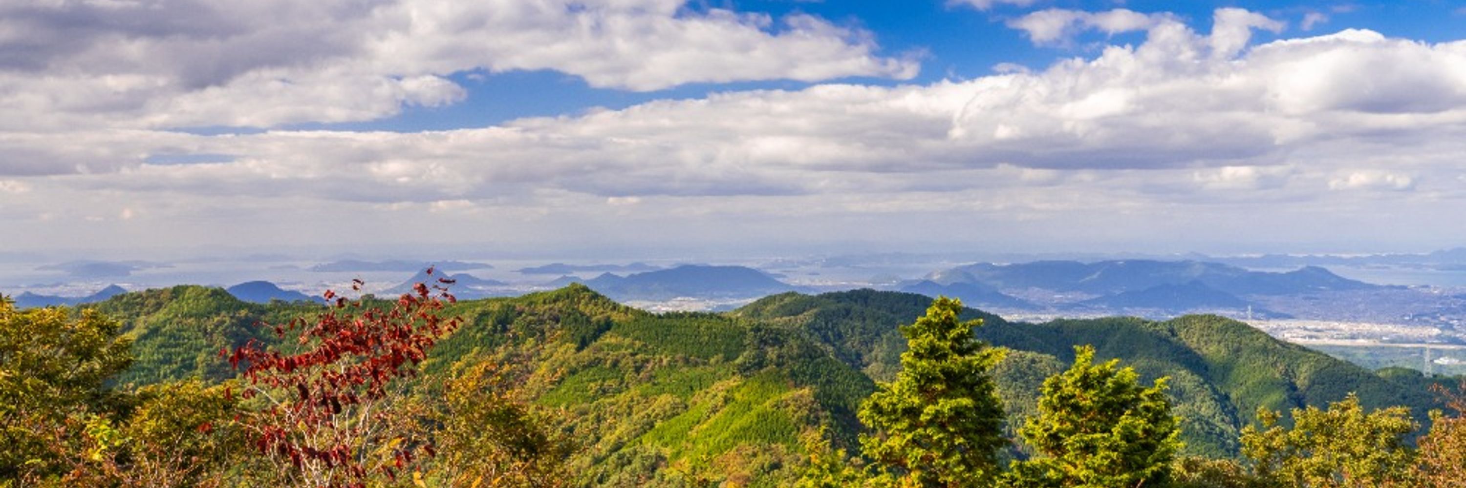 Akio Miki | 香川県のフォトグラファー
