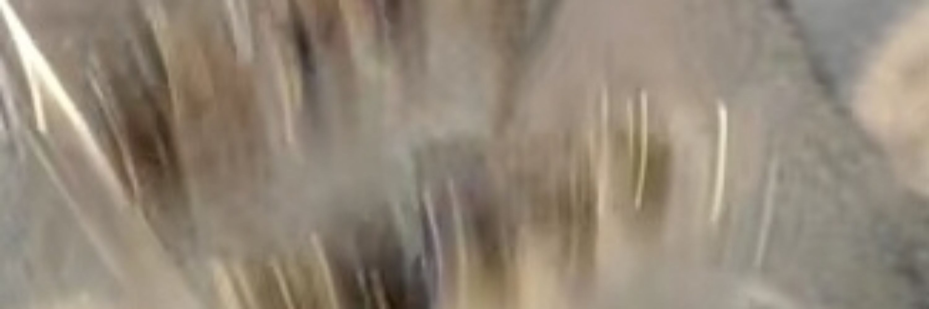 Vague
