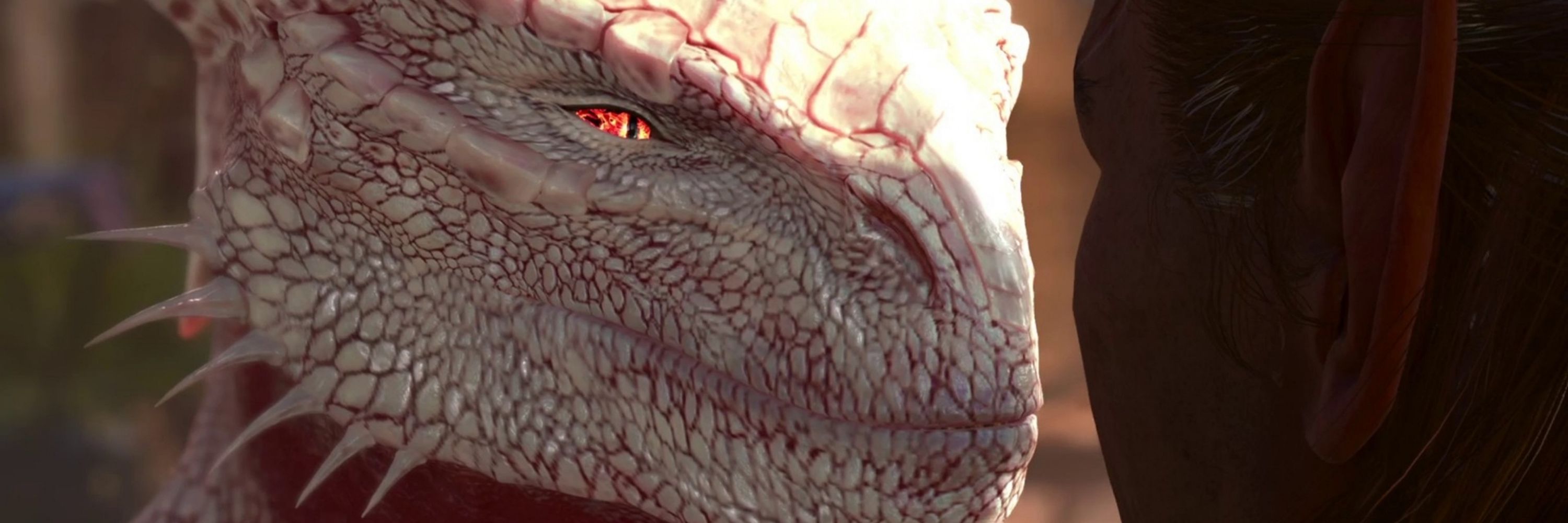 Croc 🦎