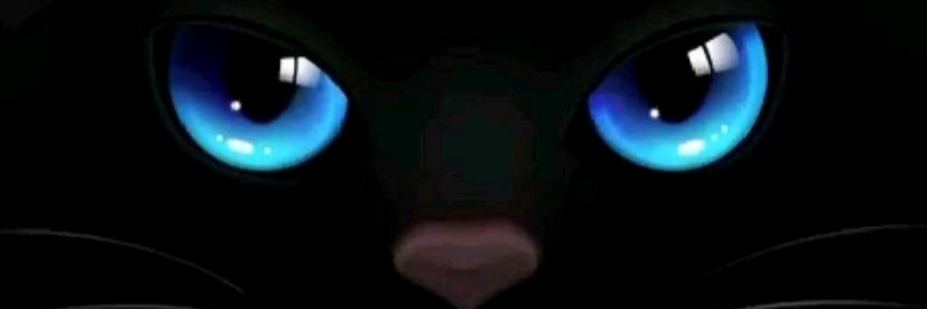 Laricat