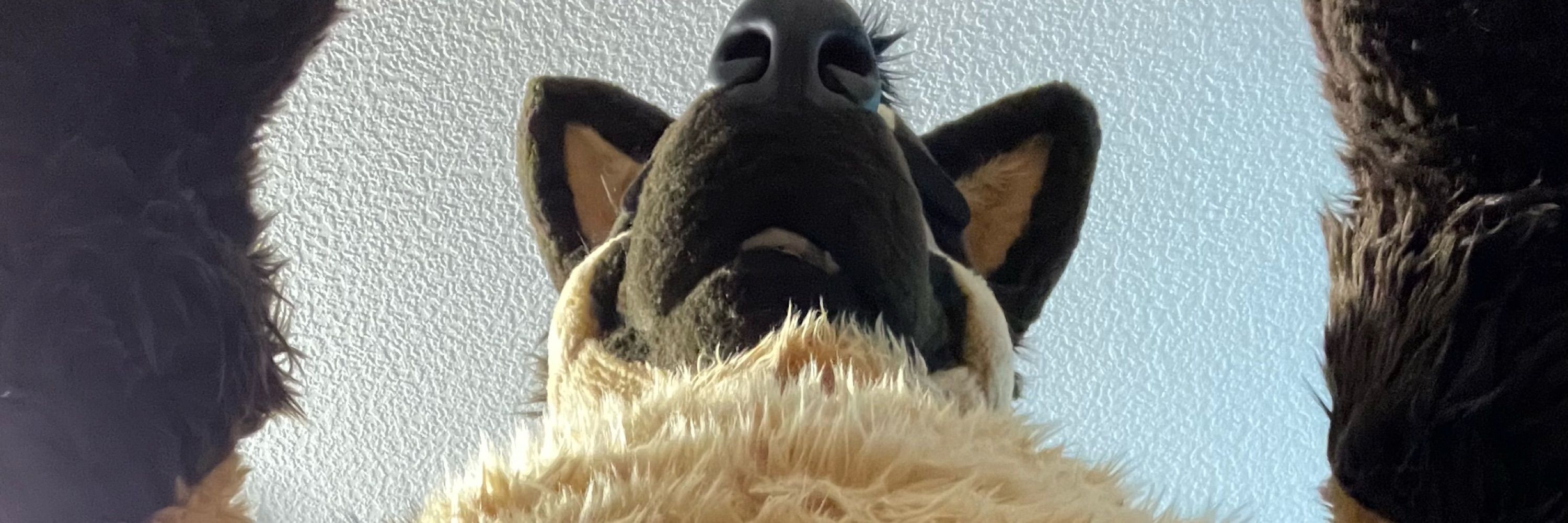 Ruff