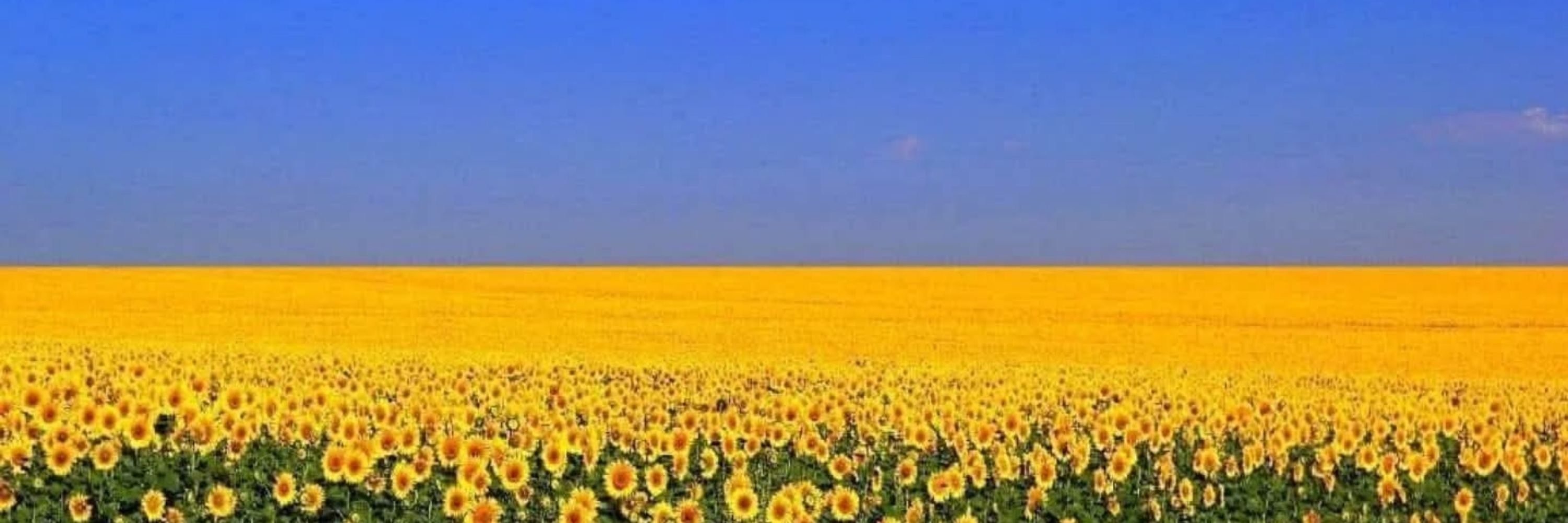 John 🇺🇦