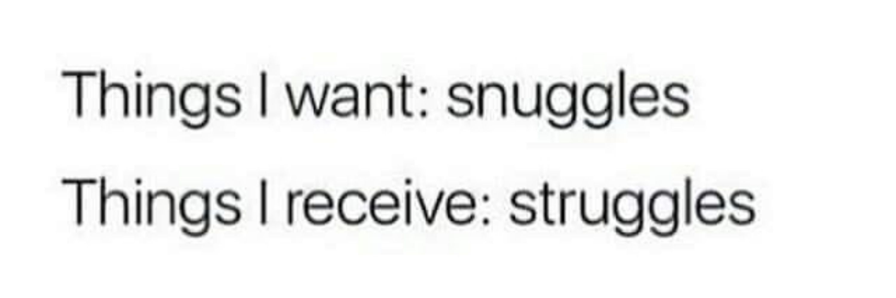 Slibex