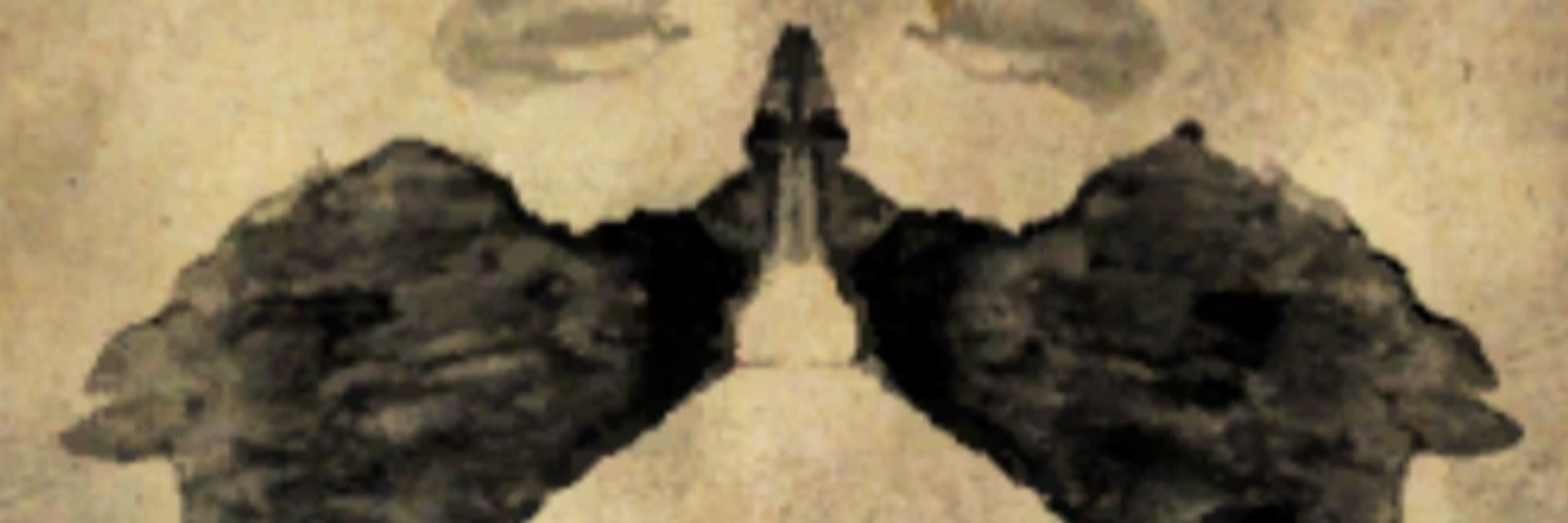 clearly two bears high-fiving