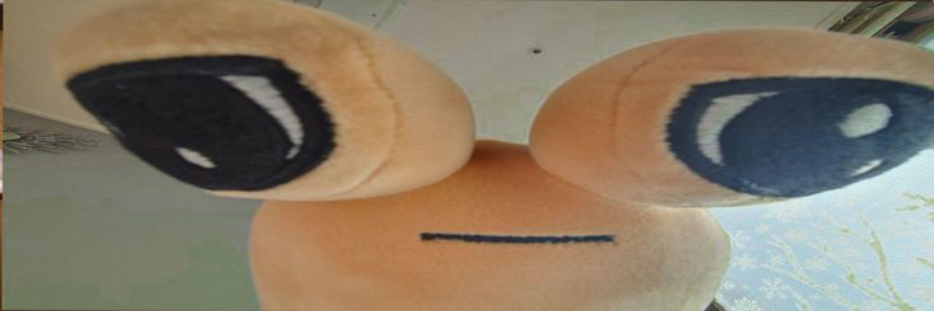 Zaiu*