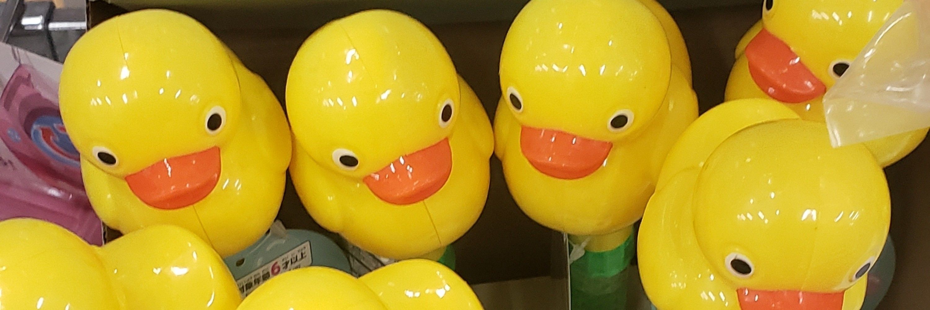 なつ