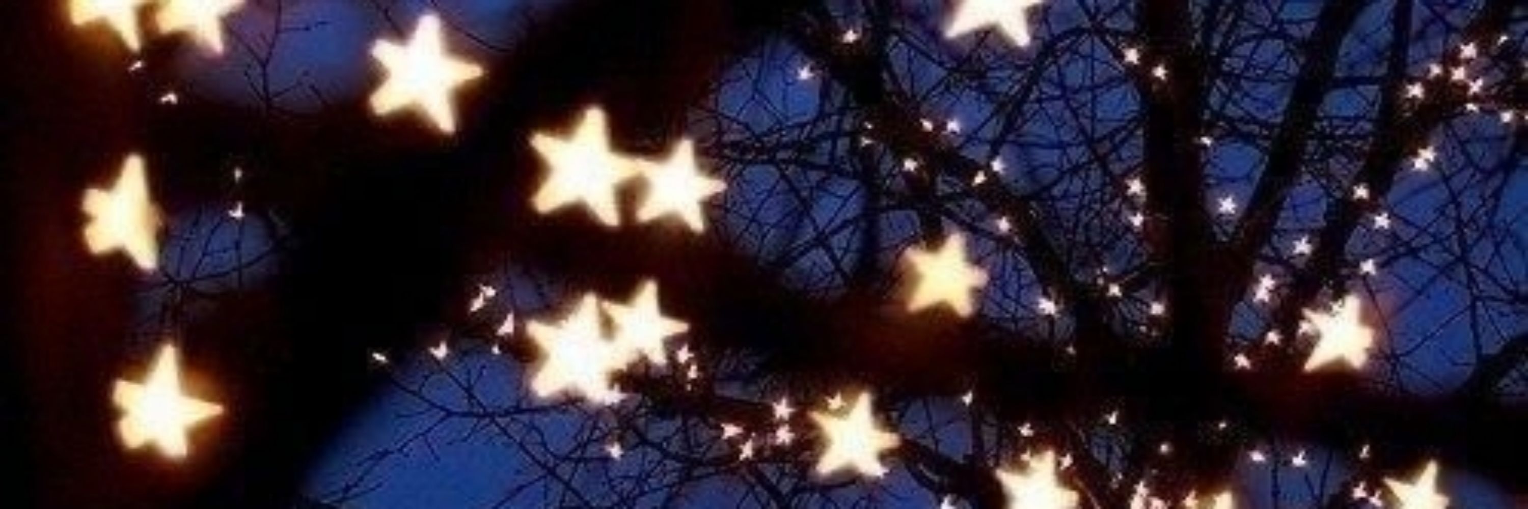 isabeluda ✧˚𓋼 ༘ ⋆｡🍄˚𓍊☆