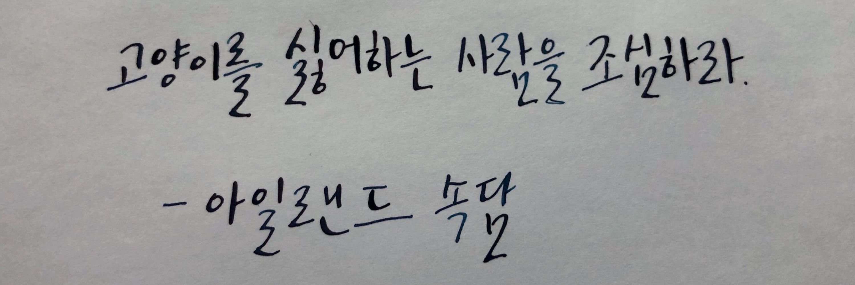 ㄷHㅊ6