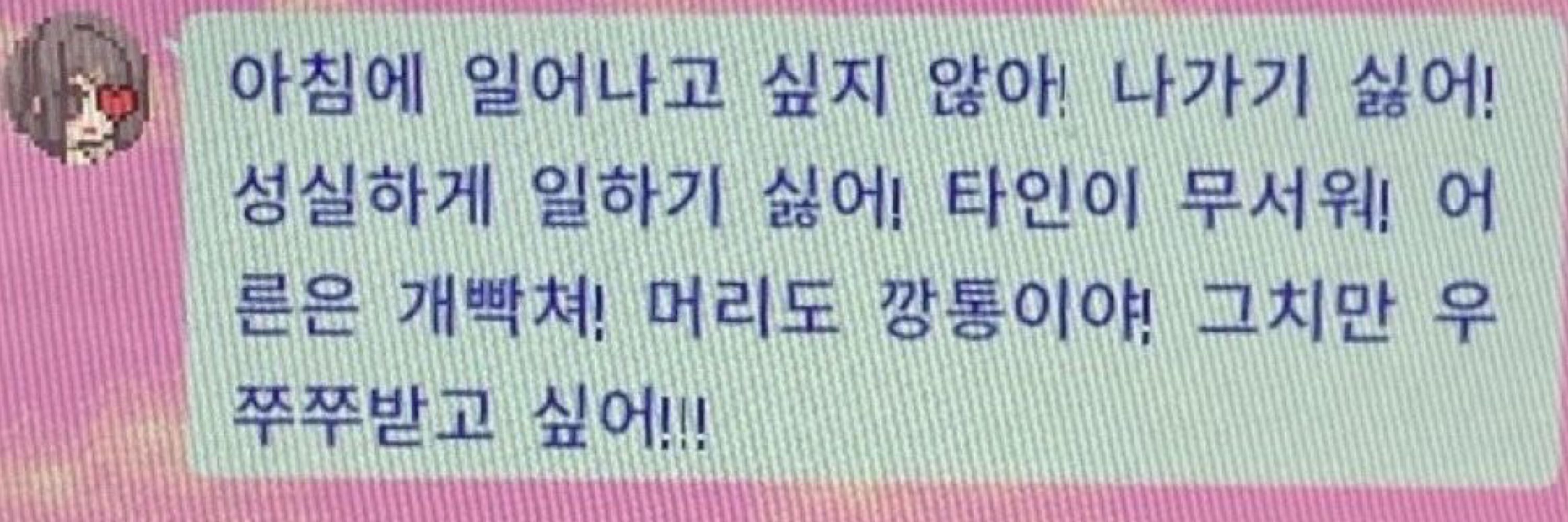 레첼이 ｡ ｡ ｡