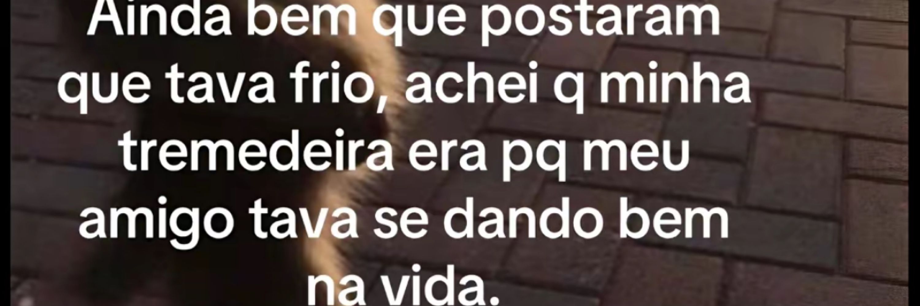 Lucas Vieira