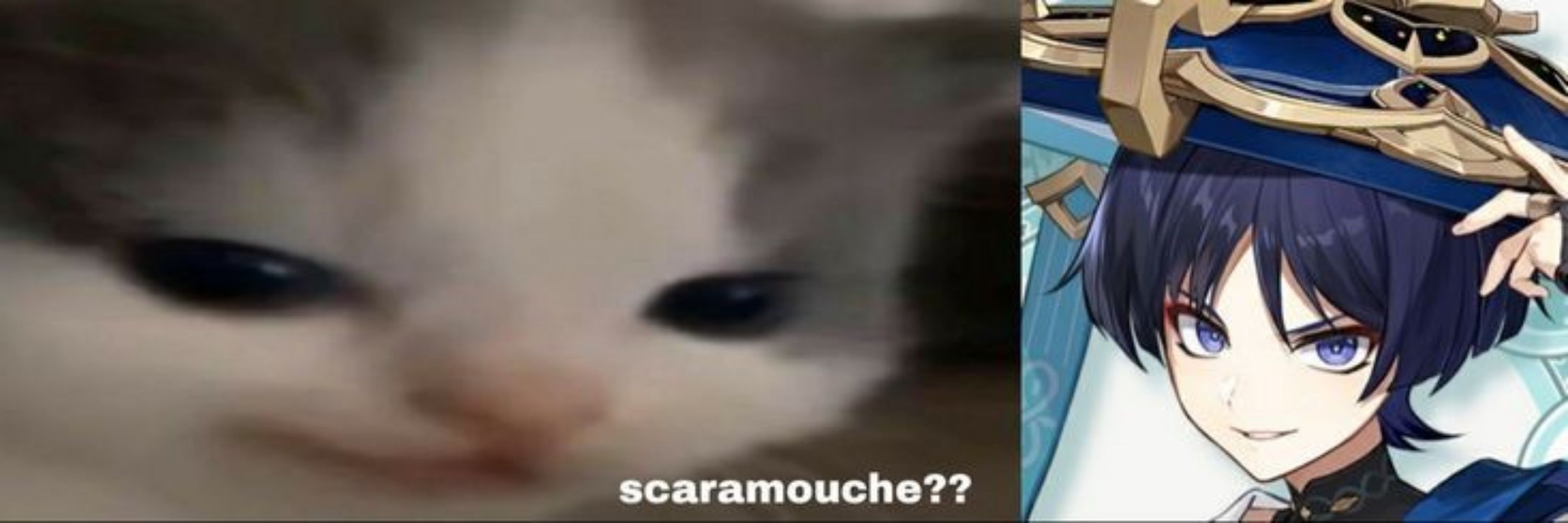 𝙍a𝗳a𝗲l 𝘽r𝙖y𝙣e𝙧