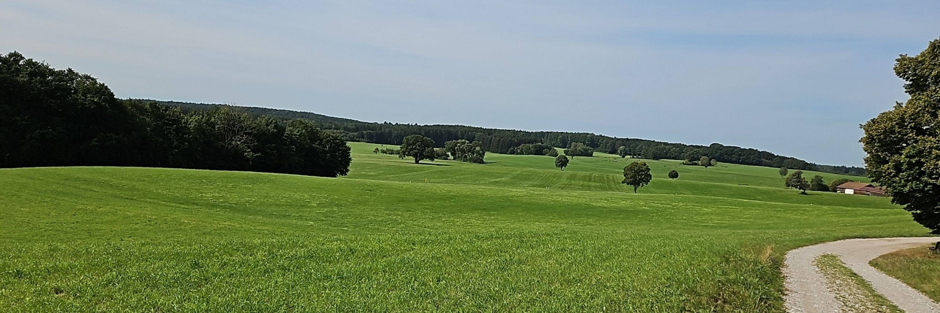 Oskar