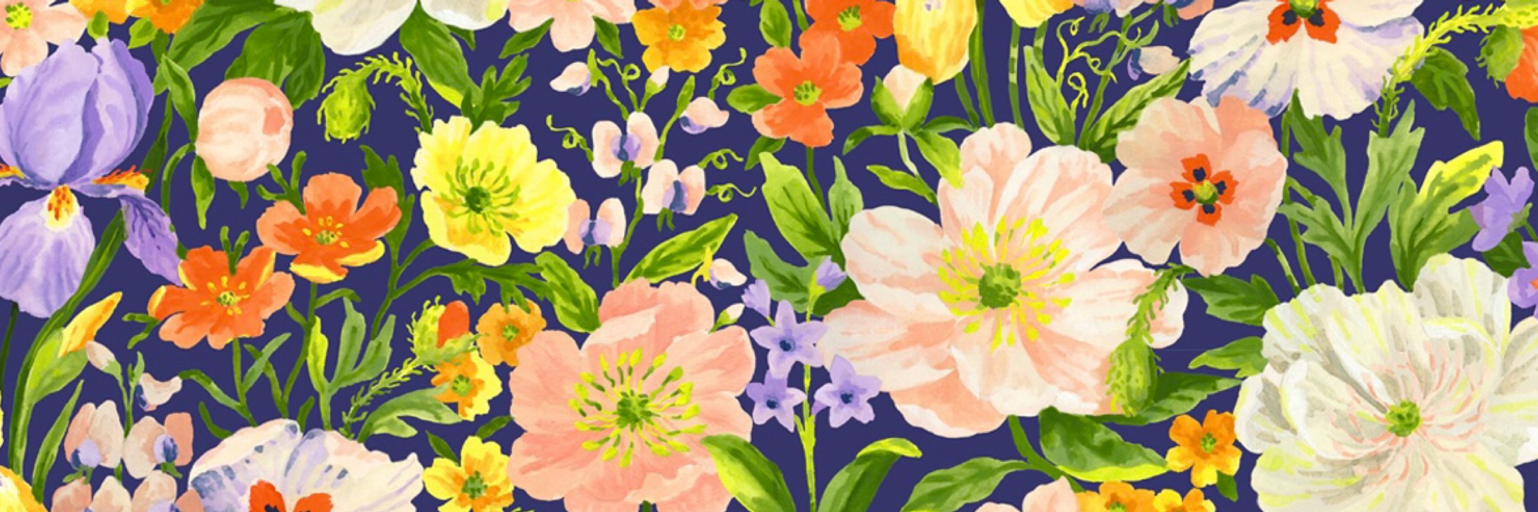 Jayne Branchflower