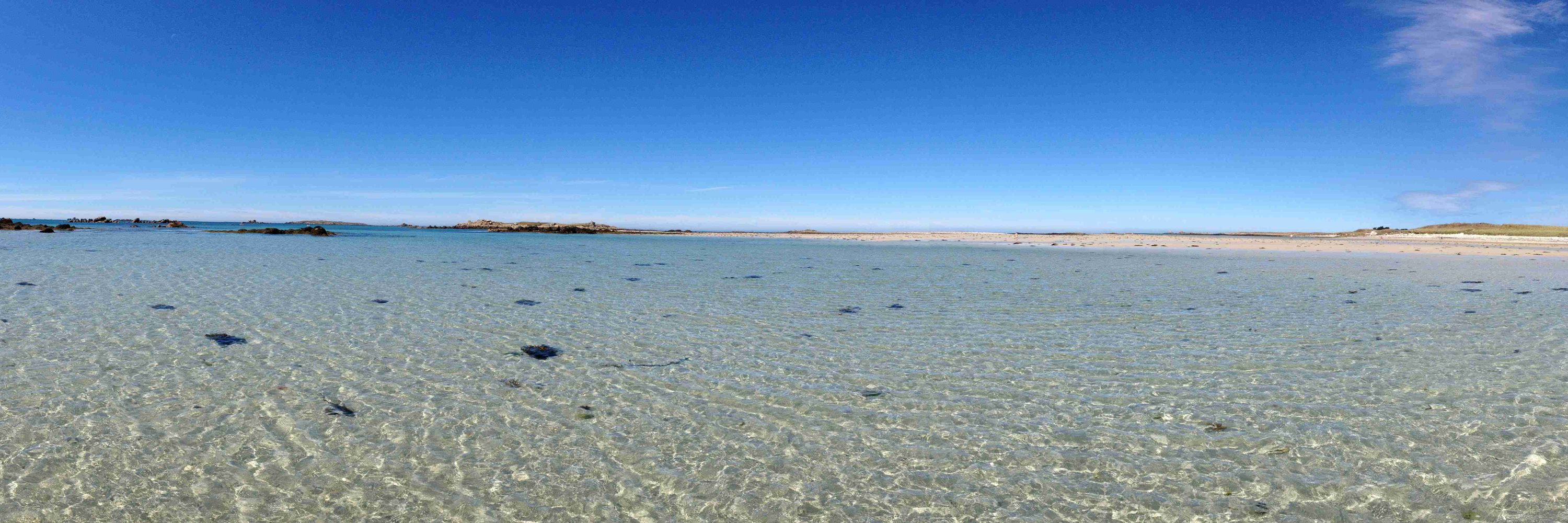 OneBenthic