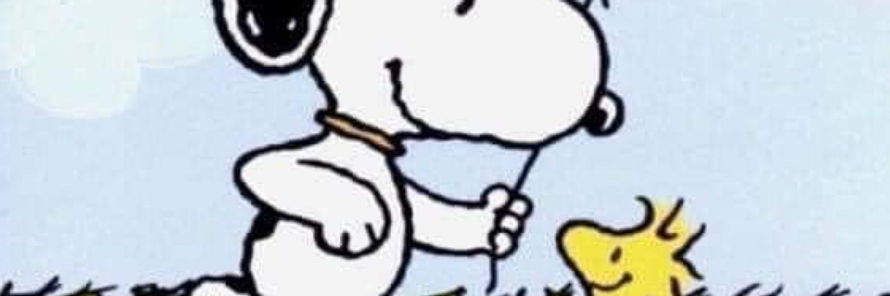 Dr Bob
