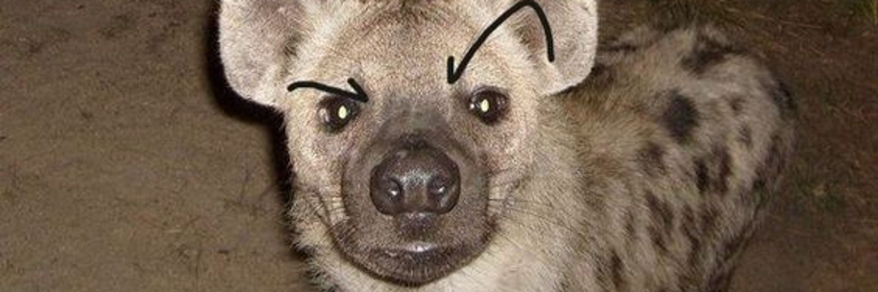 gooB