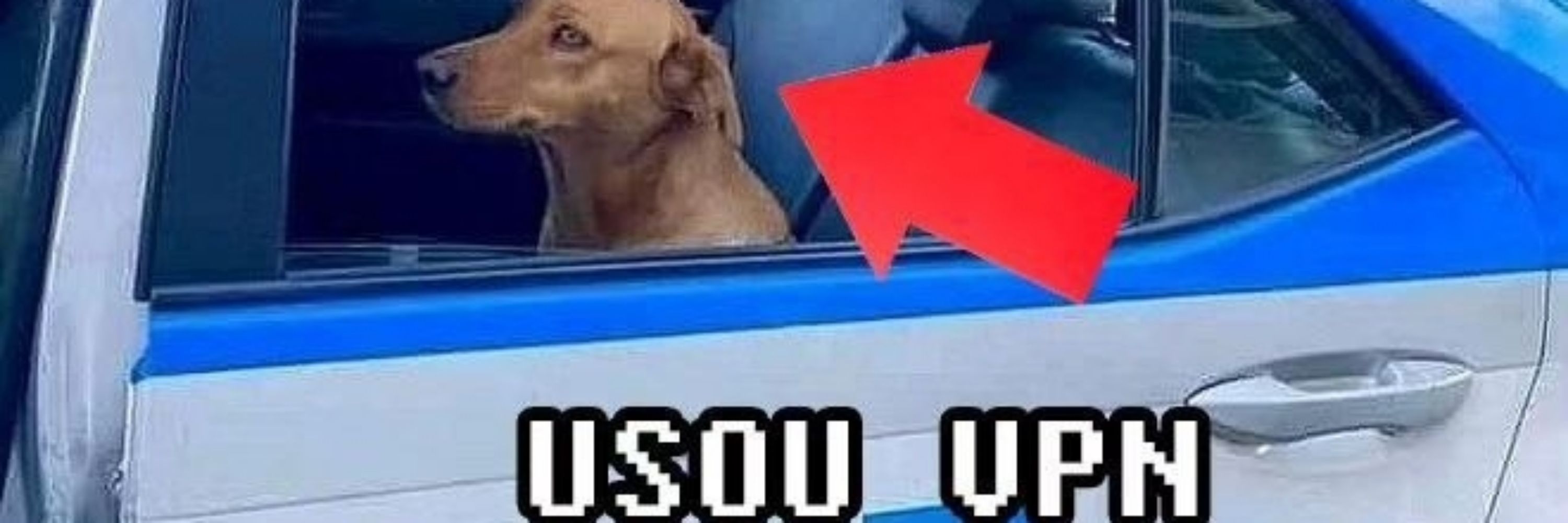 Afz é o molho