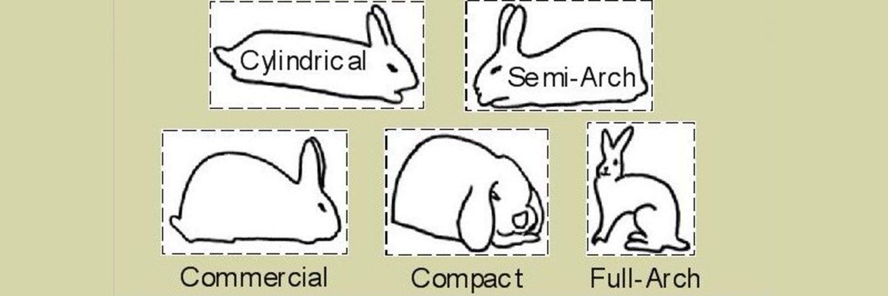 dinglehopper