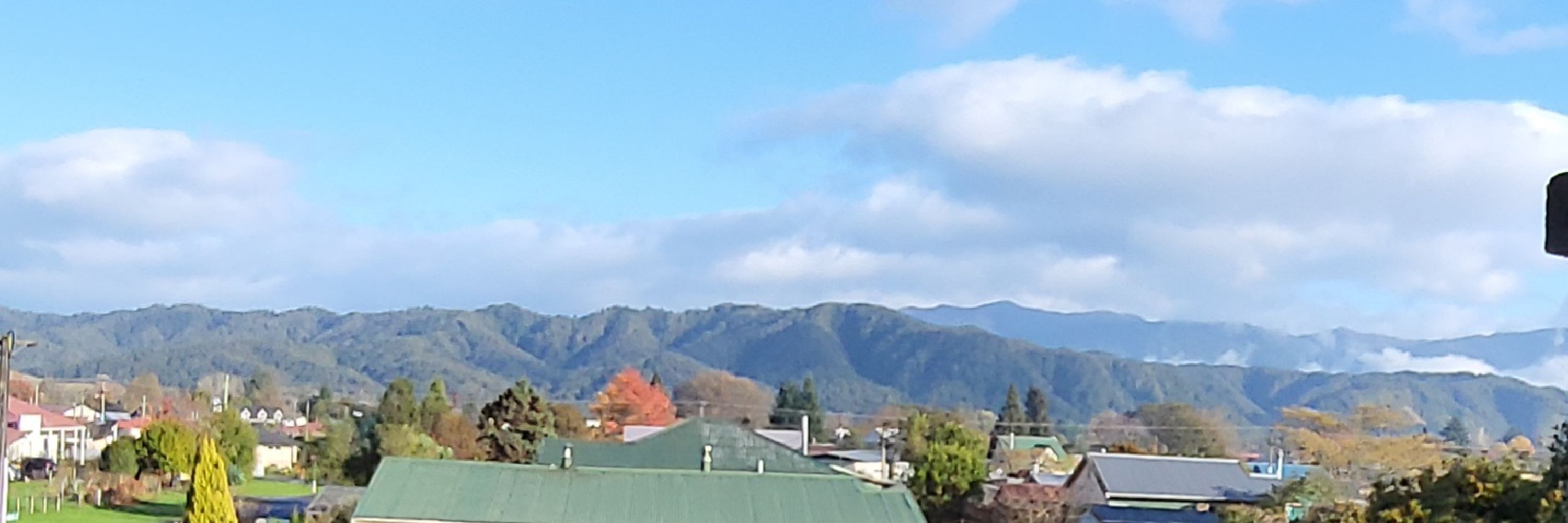 Kereru Kay