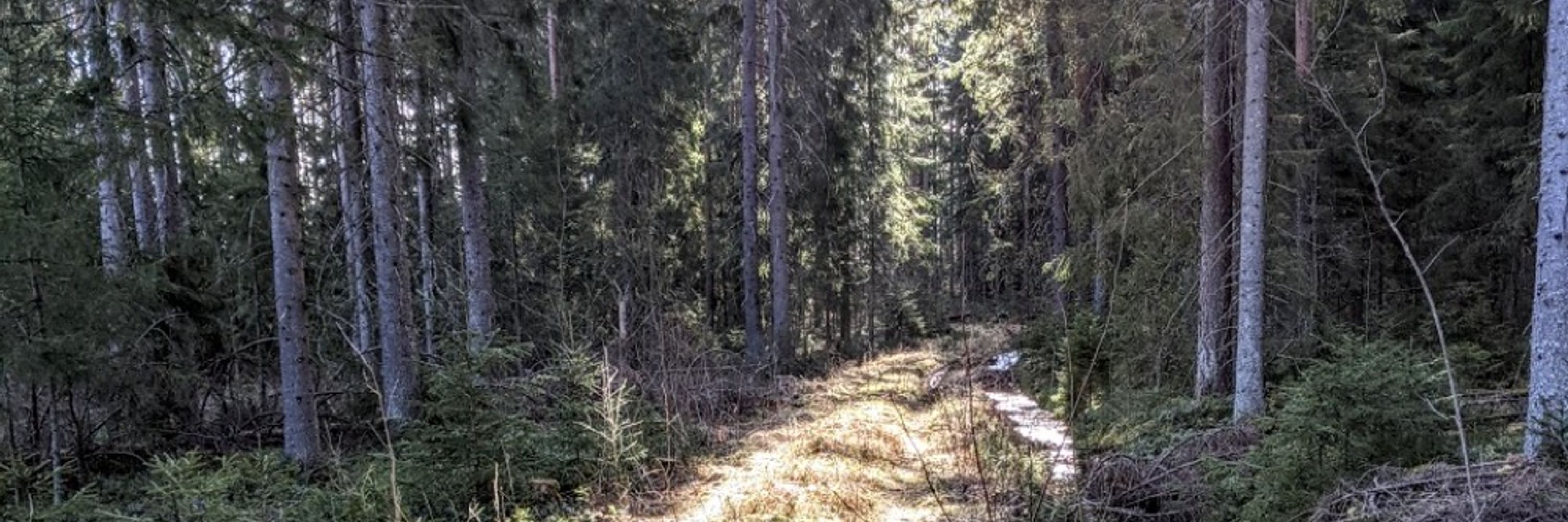Sanna Marjavaara