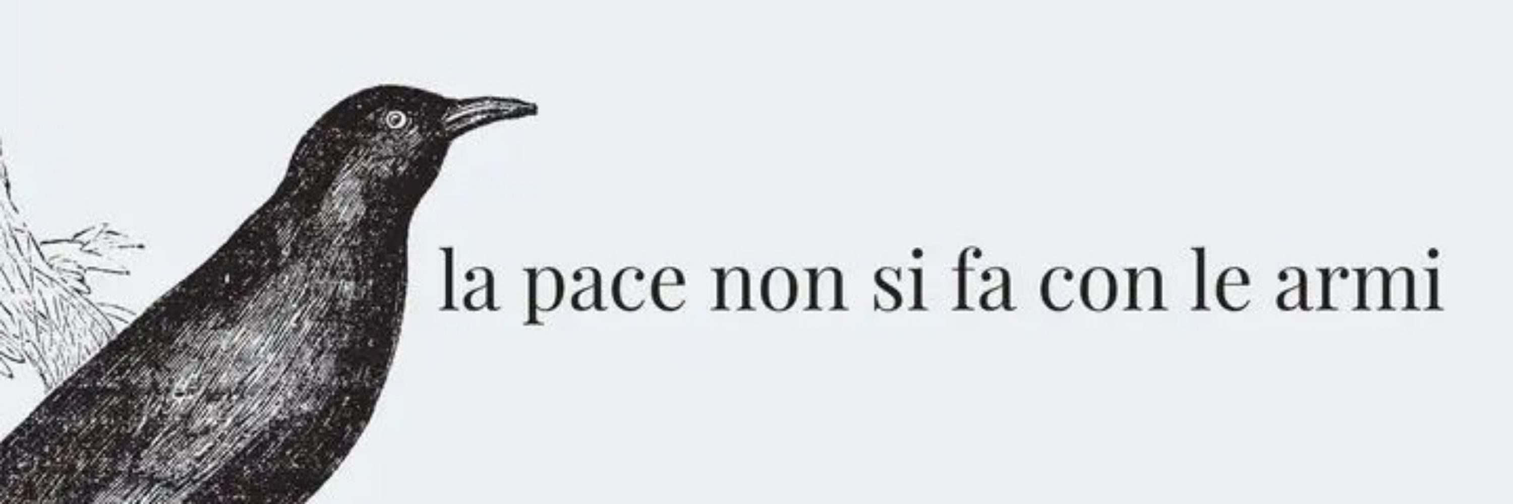 Andrea Gatti - GAF