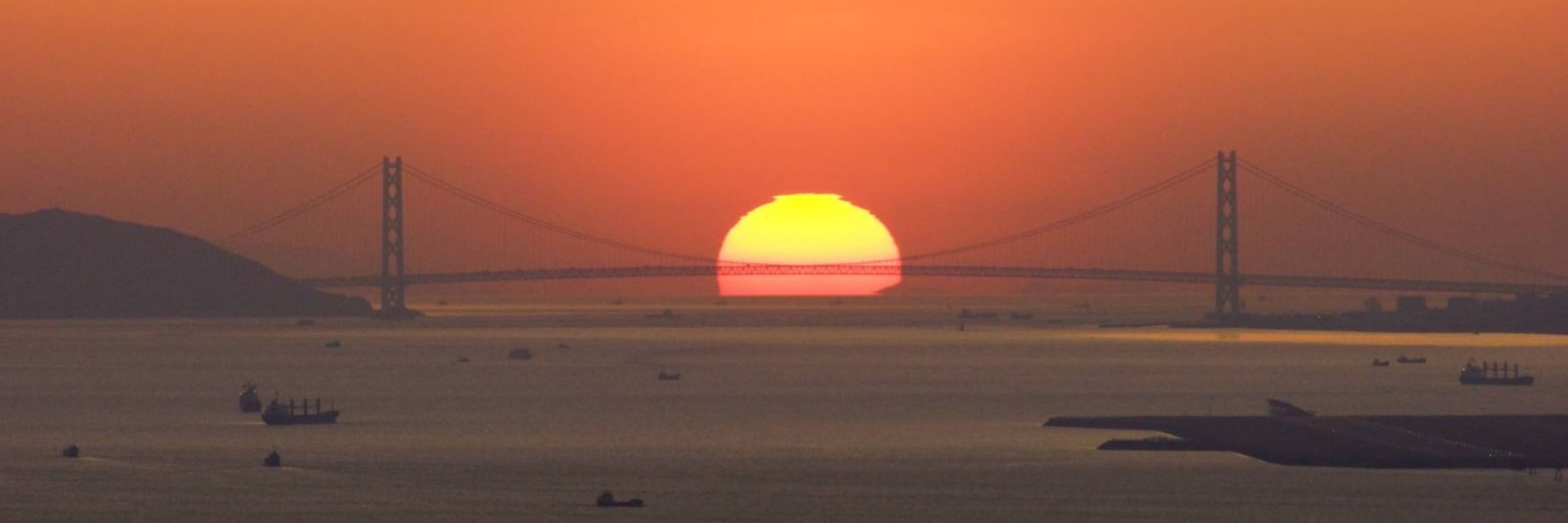 夕凪海月 YunagiKurage