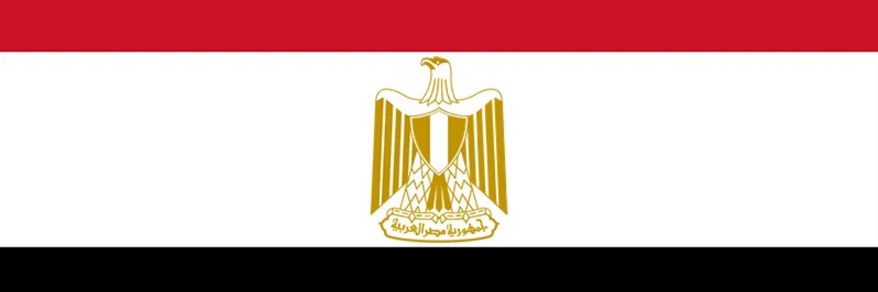 __fathy__