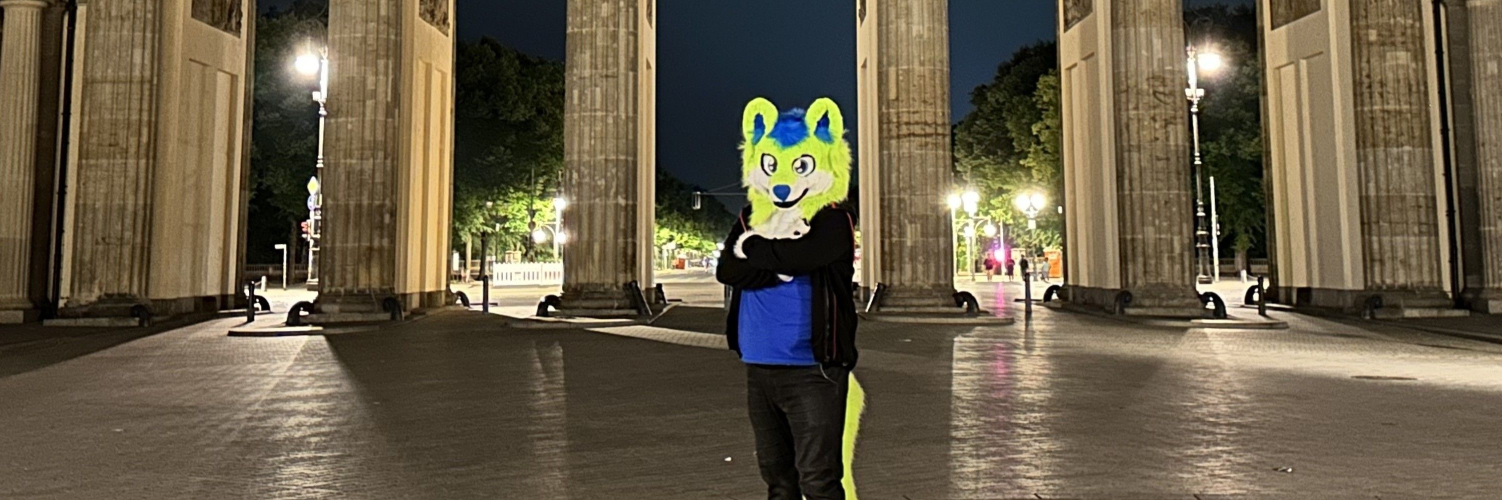 ハセラウルフ 🏳️‍⚧️🐺