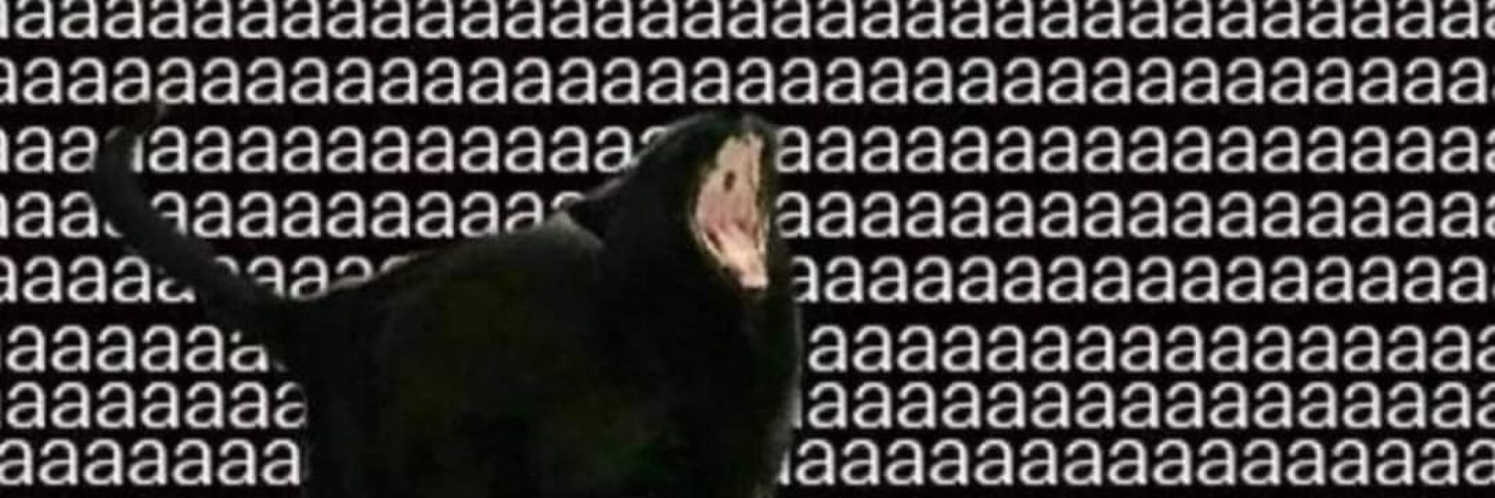 ɗyℓan