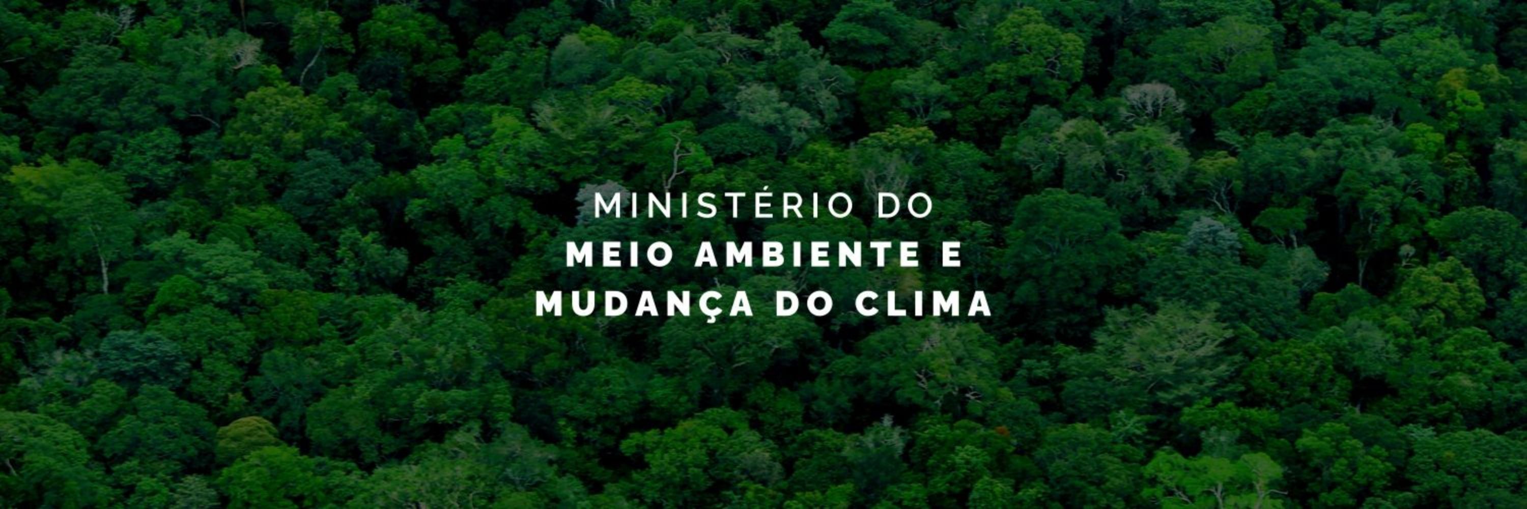 Ministério do Meio Ambiente e Mudança do Clima