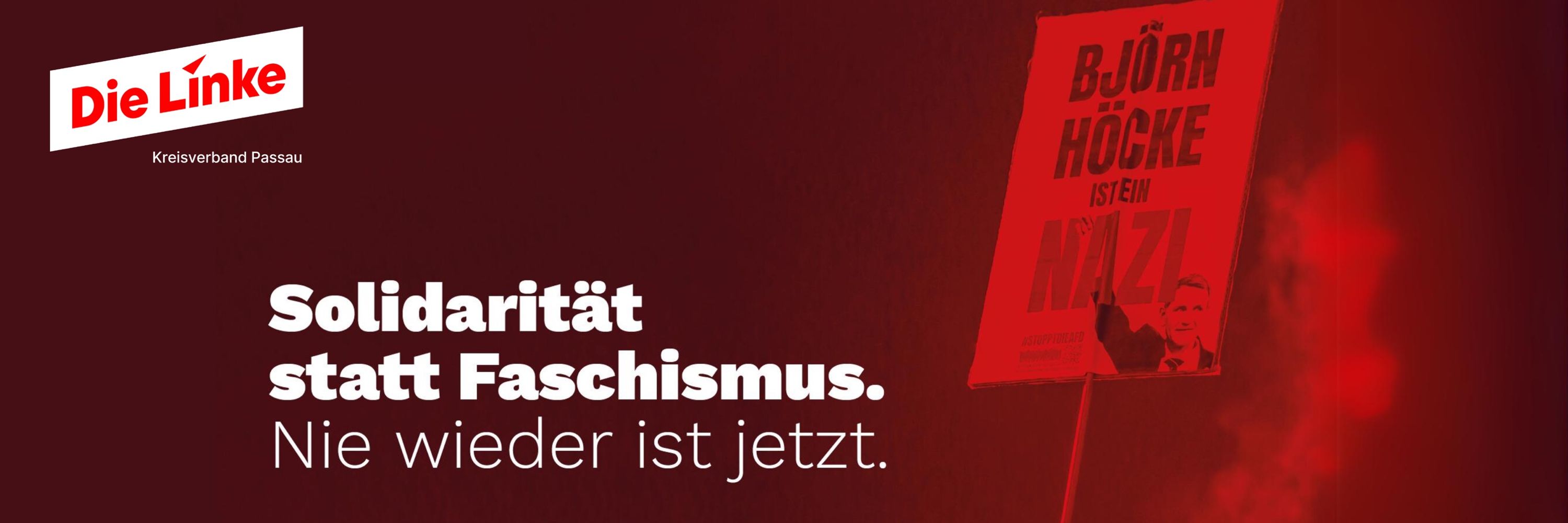 Die Linke Passau