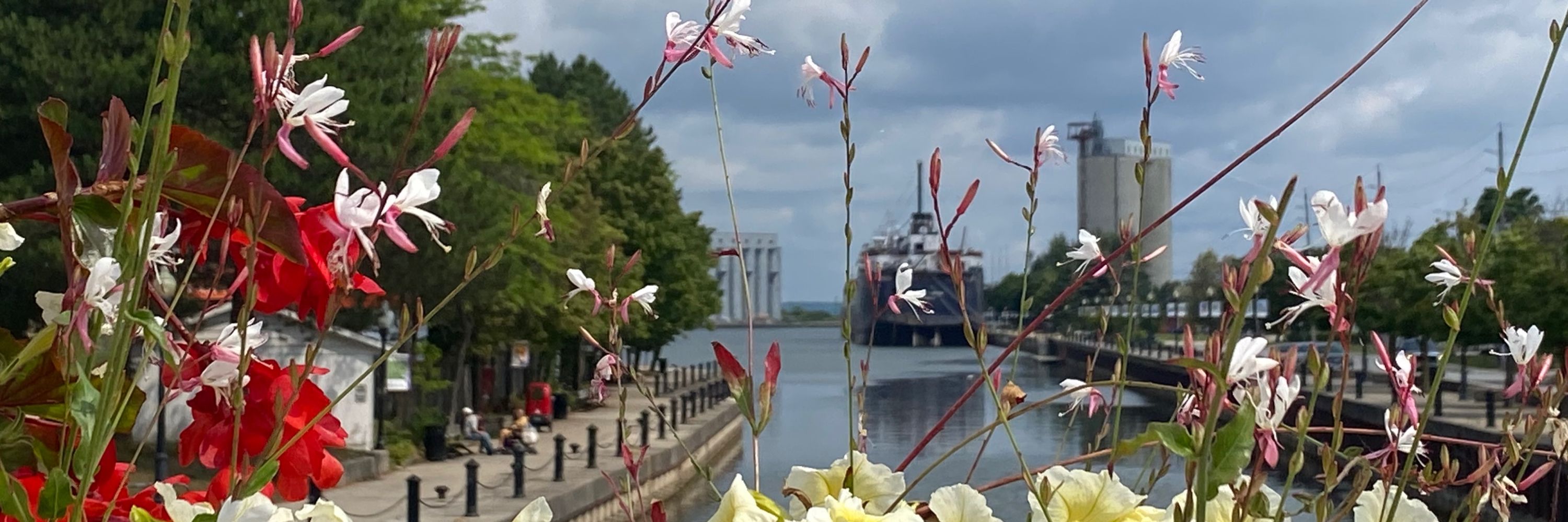 The Owen Sound Current