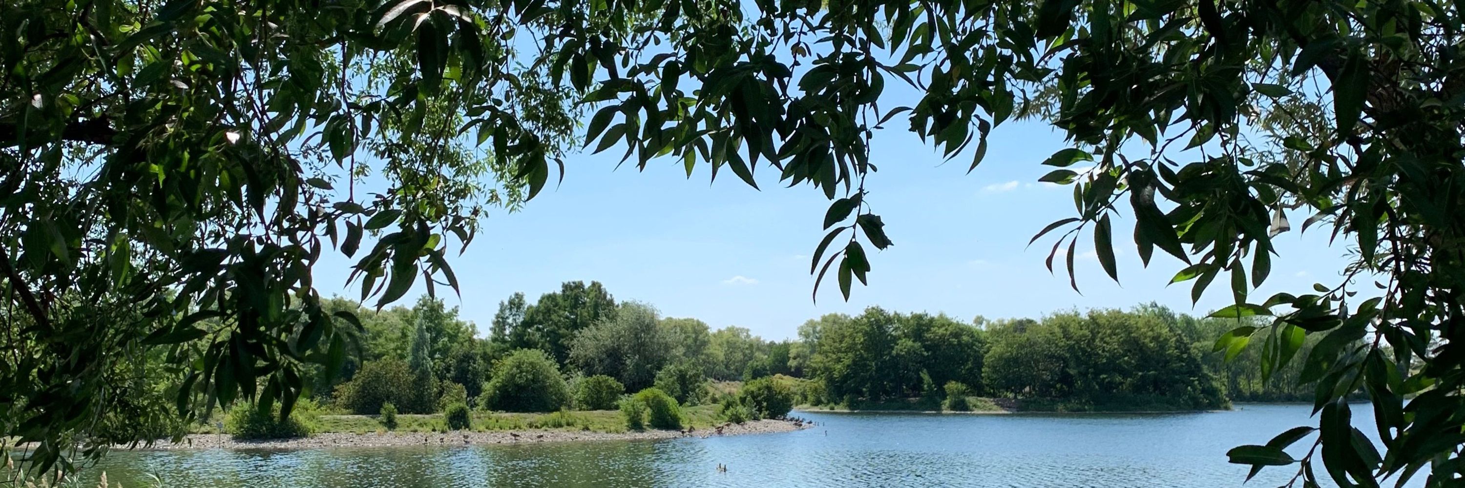 Département du Val-de-Marne 