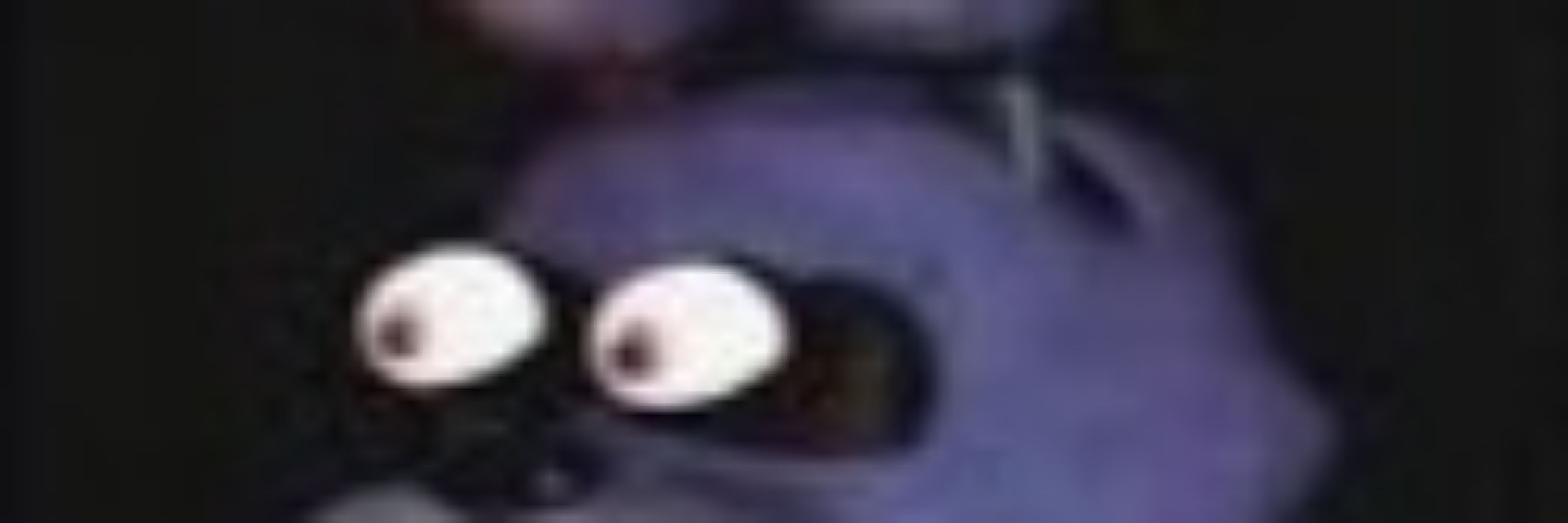 YunquéTheRacc