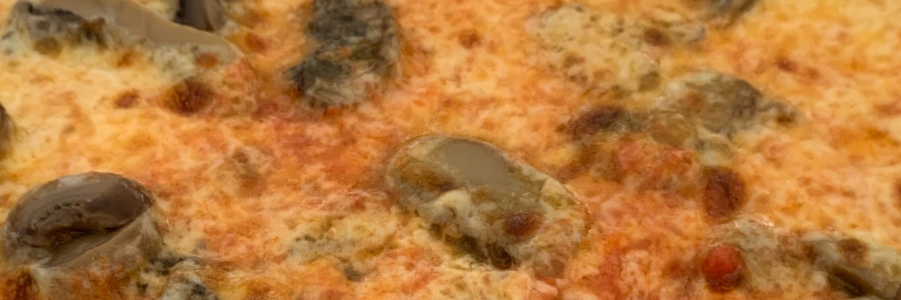 Muzzwald